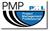 Project Management Professional ( PMP )